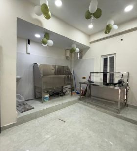 Veterinary Care at Mr Paws Pet Clinic